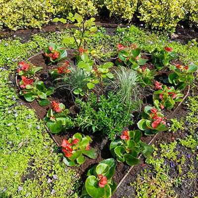 Grabpflege Bild 06